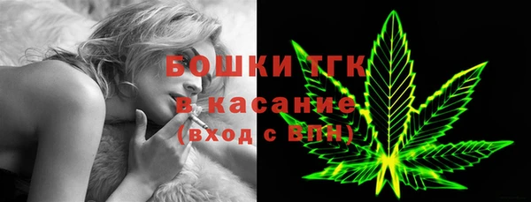 PSILOCYBIN Алзамай