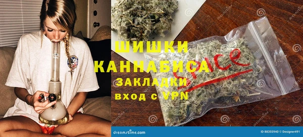 PSILOCYBIN Алзамай