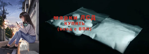PSILOCYBIN Алзамай