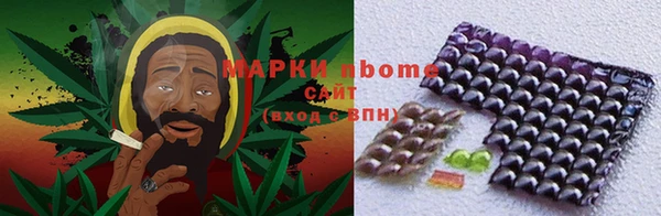 PSILOCYBIN Алзамай