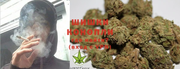 PSILOCYBIN Алзамай