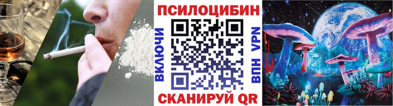 Купить где Перевоз Галлюциногенные грибы прущие грибы